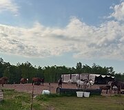 Arklių slėnyje įvykęs gaisras atėmė i&scaron; arklių namus 