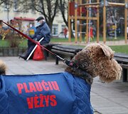 Apie plaučių vėžio prevenciją primena ir originaliais &bdquo;reklaminiais plotais&ldquo; tapę keturkojai