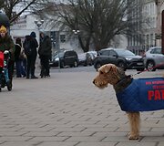 Apie plaučių vėžio prevenciją primena ir originaliais &bdquo;reklaminiais plotais&ldquo; tapę keturkojai