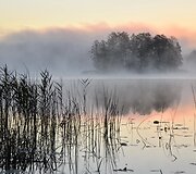  &bdquo;Mi&scaron;kas rūke&ldquo; (&Scaron;venčionių Zigmo Žemaičio gimnazija, Ekologinis klubas &bdquo;Žuvėdra&ldquo;, mokytoja Oksana Gončarova)
