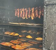Anitos žuvys
