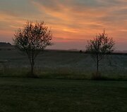 Lietuva