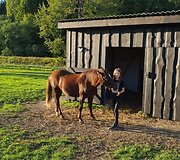 &Scaron;imtametė trobelė tapo i&scaron;skirtiniu namu