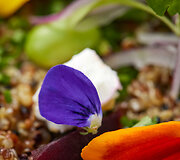 30 geriausių restoranų: &bdquo;Pachamama Dinner Club&ldquo;