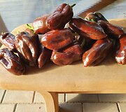 Salvinos Kievinienės augintos paprikos