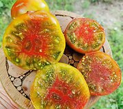 'Приворотне Зилля,&nbsp;'Love Potion'