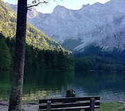 Ingos kelionės po pasaulį