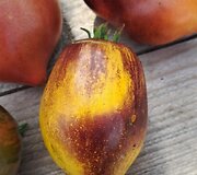'Ginger Comet'