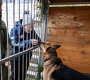 &bdquo;Pet Rescue Finland&ldquo; padeda rasti namus Suomijoje prieglaudų &scaron;unims i&scaron; Lietuvos