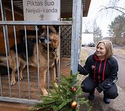&bdquo;Pet Rescue Finland&ldquo; padeda rasti namus Suomijoje prieglaudų &scaron;unims i&scaron; Lietuvos