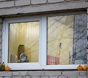 &bdquo;Pet Rescue Finland&ldquo; padeda rasti namus Suomijoje prieglaudų &scaron;unims i&scaron; Lietuvos