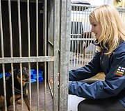 &bdquo;Pet Rescue Finland&ldquo; padeda rasti namus Suomijoje prieglaudų &scaron;unims i&scaron; Lietuvos