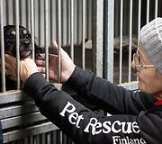 &bdquo;Pet Rescue Finland&ldquo; padeda rasti namus Suomijoje prieglaudų &scaron;unims i&scaron; Lietuvos