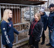 &bdquo;Pet Rescue Finland&ldquo; padeda rasti namus Suomijoje prieglaudų &scaron;unims i&scaron; Lietuvos