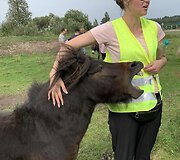 Lietuvių kalbos mokytoja Milda Ratomskienė