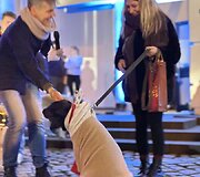 Jau trečią kartą susitiko Klaipėdos retriverių bendruomenė