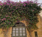 Mdina