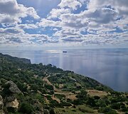 Dingli uolos