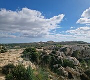 Dingli uolos