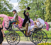 Pakruojo dvaro Vasaros gėlių festivalis