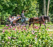 Pakruojo dvaro Vasaros gėlių festivalis