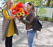 Konkurso &bdquo;100 tulpių mamai&ldquo; prizas