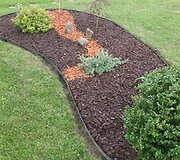 Gitana Urbonienė kartu su kaimynėmis puoselėja aplinką 