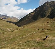 Gruzijos kra&scaron;tovaizdis 