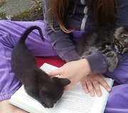 Indrė Kontrauskienė padeda beglobiams katinėliams