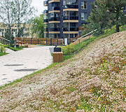 Apželdinimo idėjos