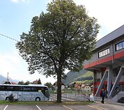 Lietuvos krep&scaron;inio rinktinė  &ndash; po treniruotės