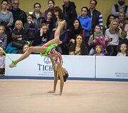Vilniuje - Dalios Kutkaitės tarptautinis meninės gimnastikos varžybos
