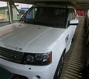 Vogtas automobilis