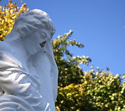 Suniokotas Drąsiui Kedžiui skirtas paminklas