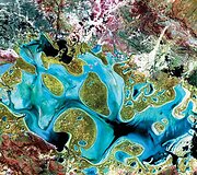 Karnegio ežeras, Australija