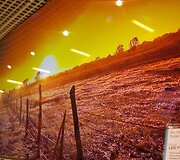 &bdquo;Samsung Forum 2013&ldquo; renginyje &scaron;iais metais Europos vartotojus pasieksiantys produktai