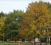 Druskininkų ruduo