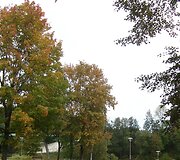 Druskininkų ruduo