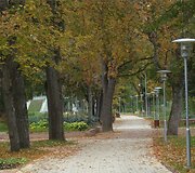 Druskininkų ruduo