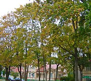 Druskininkų ruduo