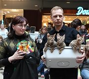 Įkrauk.lt nuotrauka