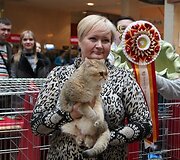 Įkrauk.lt nuotrauka