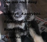 Įkrauk.lt nuotrauka