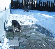 Įkrauk.lt nuotrauka
