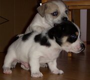 Įkrauk.lt nuotrauka