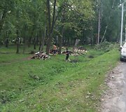 Įkrauk.lt nuotrauka
