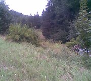 Įkrauk.lt nuotrauka