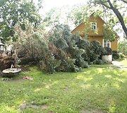 Įkrauk.lt nuotrauka