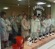 Tarptautinė aludarių diena Klaipėdoje 