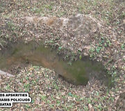 Klaipėdoje susemta nepilnamečių guja